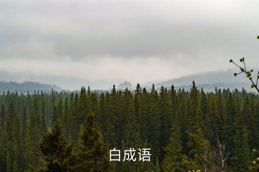 關于白的成語，帶白字的成語