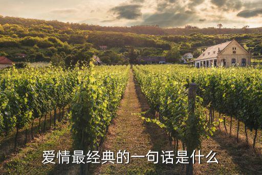 愛情是什么最經典的話，愛情是什么 用經典的話回答一下