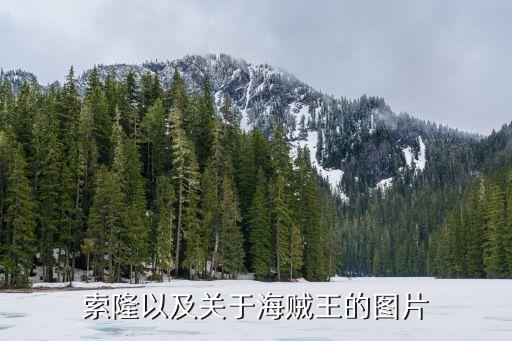 海賊王索隆圖片，索隆以及關(guān)于海賊王的圖片