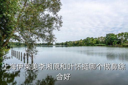 上海伊萊美李湘原和葉懷挺哪個做鼻綜合好