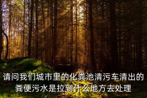 請(qǐng)問(wèn)我們城市里的化糞池清污車清出的糞便污水是拉到什么地方去處理