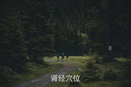 腎經穴位，腎經在身體哪個位置