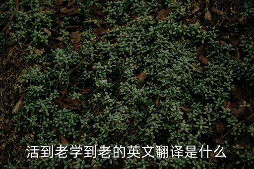 活到老學到老英文，活到老學到老的英文翻譯是什么