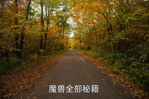 魔獸世界秘籍，魔獸全部秘籍