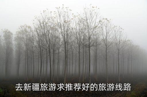 去新疆旅游求推薦好的旅游線路