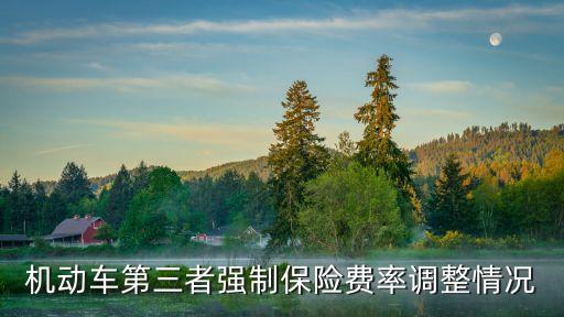 上海市交強(qiáng)險費率調(diào)整，上海TD費率可以在哪可以調(diào)成萬35以下