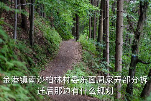 上海市莆田區西棟街道金港村，請問金港鎮福明村南片1組2組是保留村嗎