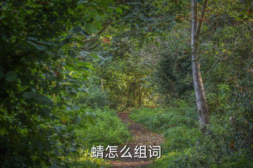 蜻，蜻可以組什么詞語(yǔ)