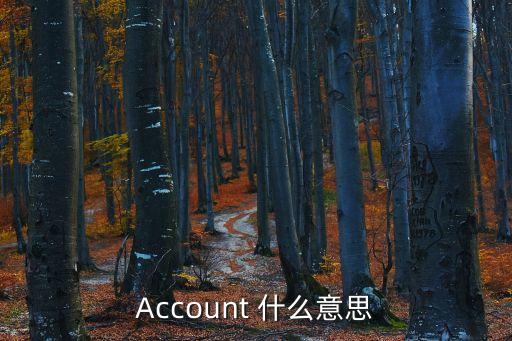 Account 什么意思