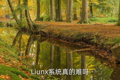 liunx系統，liunx系統詳細分區