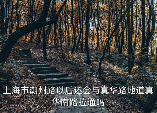 上海市潮州路以后還會與真華路地道真華南路拉通嗎