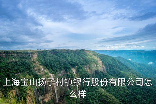 上海市有揚(yáng)子銀行嗎，上海青浦哪里有江蘇銀行