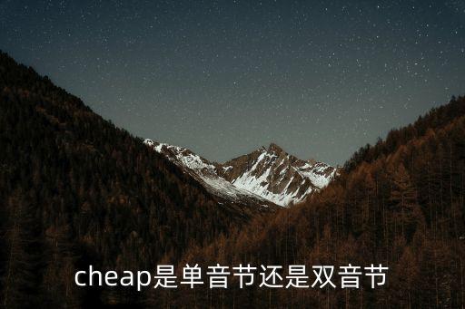 cheap怎么讀，cheap怎么讀