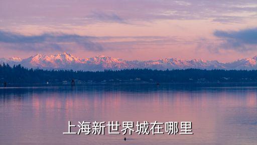 上海市新世界地下城，上海新世界城在哪里