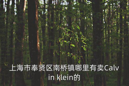 上海市奉賢區蘭博路克麗緹娜，上海欣旺壁紙有限公司的公司地址