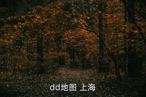 dd地圖 上海
