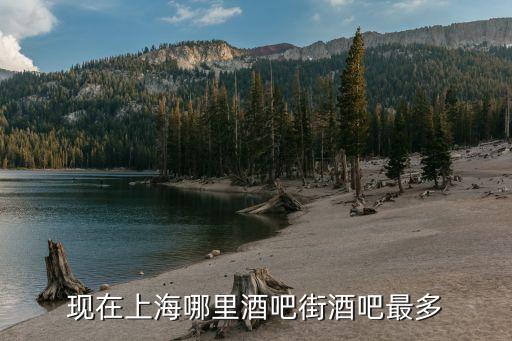 上海市街邊酒館，上海哪條街的酒吧比較多 炫吧 有花式調酒的