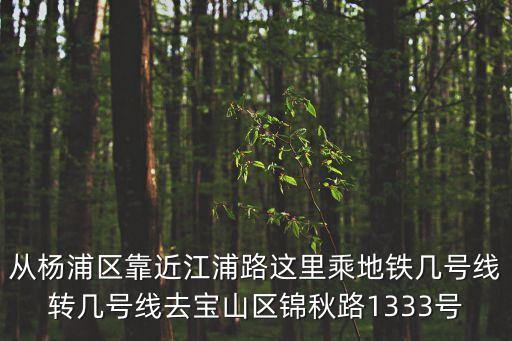 從楊浦區靠近江浦路這里乘地鐵幾號線轉幾號線去寶山區錦秋路1333號