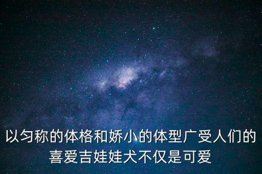 以勻稱的體格和嬌小的體型廣受人們的喜愛吉娃娃犬不僅是可愛