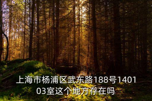 上海市楊浦區(qū)武東路188號(hào)140103室這個(gè)地方存在嗎