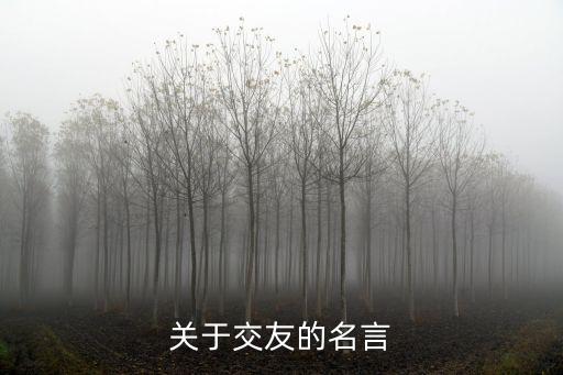 交友的名言警句，關于交友的名言名句