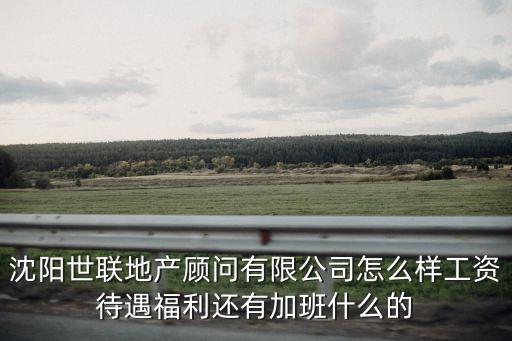 沈陽世聯地產顧問有限公司怎么樣工資待遇福利還有加班什么的
