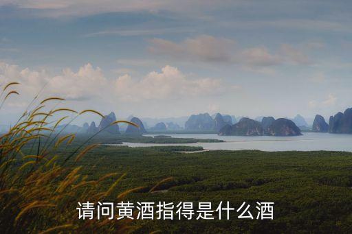 黃酒是什么酒，請(qǐng)問(wèn)黃酒是什么酒