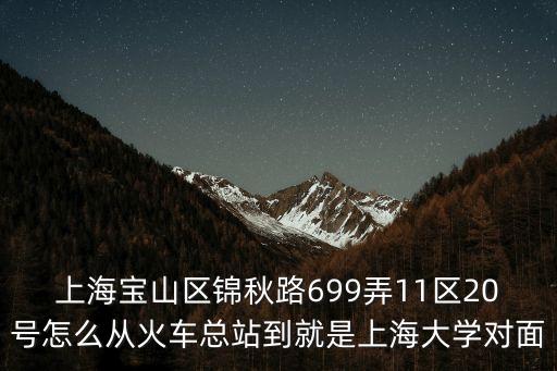 上海寶山區錦秋路699弄11區20號怎么從火車總站到就是上海大學對面