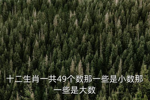 十二生肖一共49個(gè)數(shù)那一些是小數(shù)那一些是大數(shù)