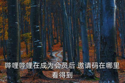 嗶哩嗶哩在成為會員后 邀請碼在哪里看得到