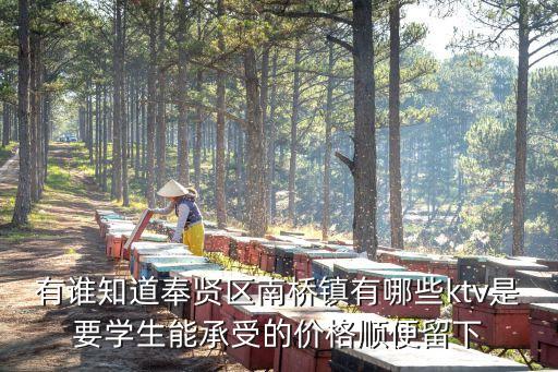 有誰知道奉賢區(qū)南橋鎮(zhèn)有哪些ktv是要學(xué)生能承受的價(jià)格順便留下