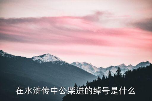 在水滸傳中公柴進(jìn)的綽號(hào)是什么