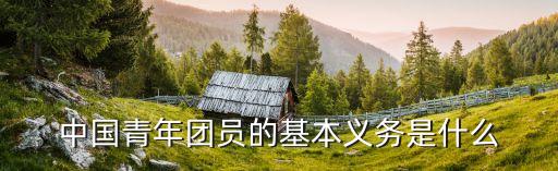 中國青年團(tuán)員的基本義務(wù)是什么