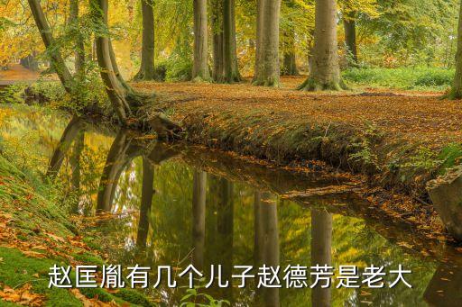 趙德林，遇見風De記憶 是誰啊