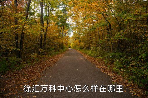 上海市售樓部徐匯，上海徐匯房產(chǎn)交易中心雙休日工作的嗎