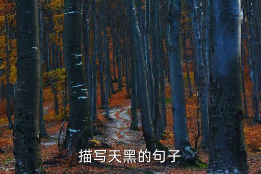 黑夜的句子，求些傷感的句子關(guān)于黑夜