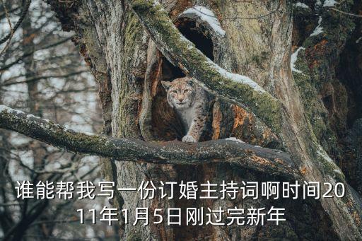 訂婚宴主持詞，誰(shuí)有訂婚儀式主持詞啊急急