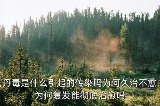 丹毒是什么引起的傳染嗎為何久治不愈為何復發能徹底治愈嗎