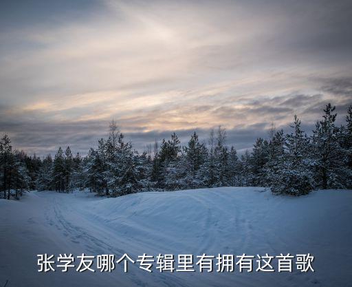 擁有歌詞，張學友哪個專輯里有擁有這首歌