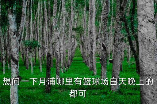 上海市月浦公園籃球場，上海市哪兒的街頭籃球場水平高