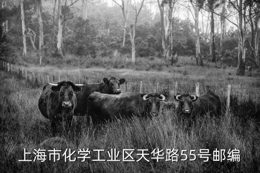 上海市化學化工學會地址，請問有木有上海化學業余學校 官網是什么