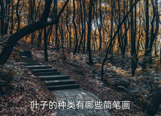 樹葉簡(jiǎn)筆畫圖片大全，怎么畫大片的樹葉