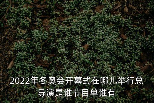 2022年冬奧會開幕式在哪兒舉行總導演是誰節目單誰有