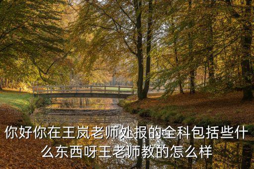 你好你在王嵐老師處報的全科包括些什么東西呀王老師教的怎么樣