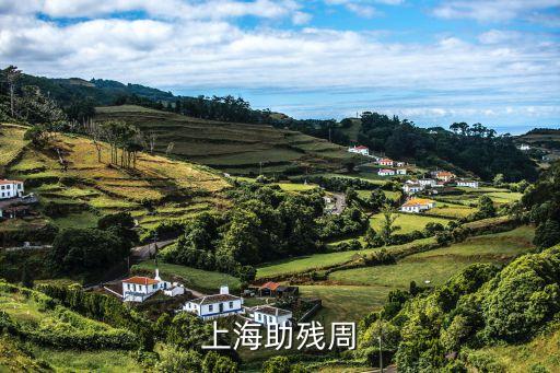 上海市殘疾人幫困政策，上海助殘周