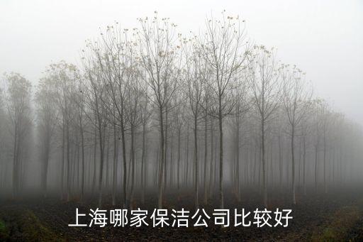 上海市環(huán)衛(wèi)保潔公司，上海閔行區(qū)虹橋環(huán)衛(wèi)綜合服務有限公司所在地