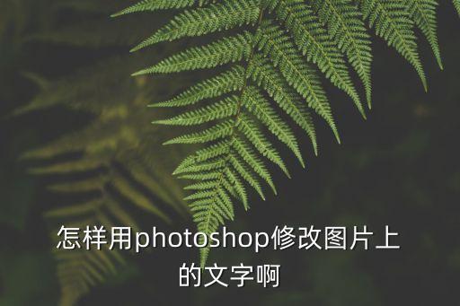 怎樣用photoshop修改圖片上的文字啊