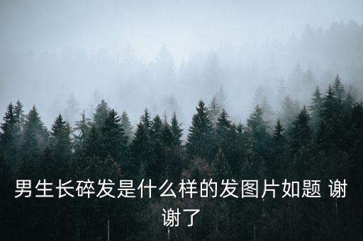 男生長碎發(fā)是什么樣的發(fā)圖片如題 謝謝了
