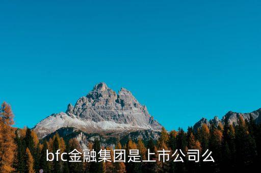 bfc金融集團是上市公司么