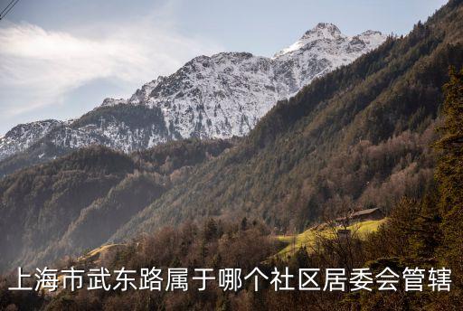 上海市武東路屬于哪個社區居委會管轄